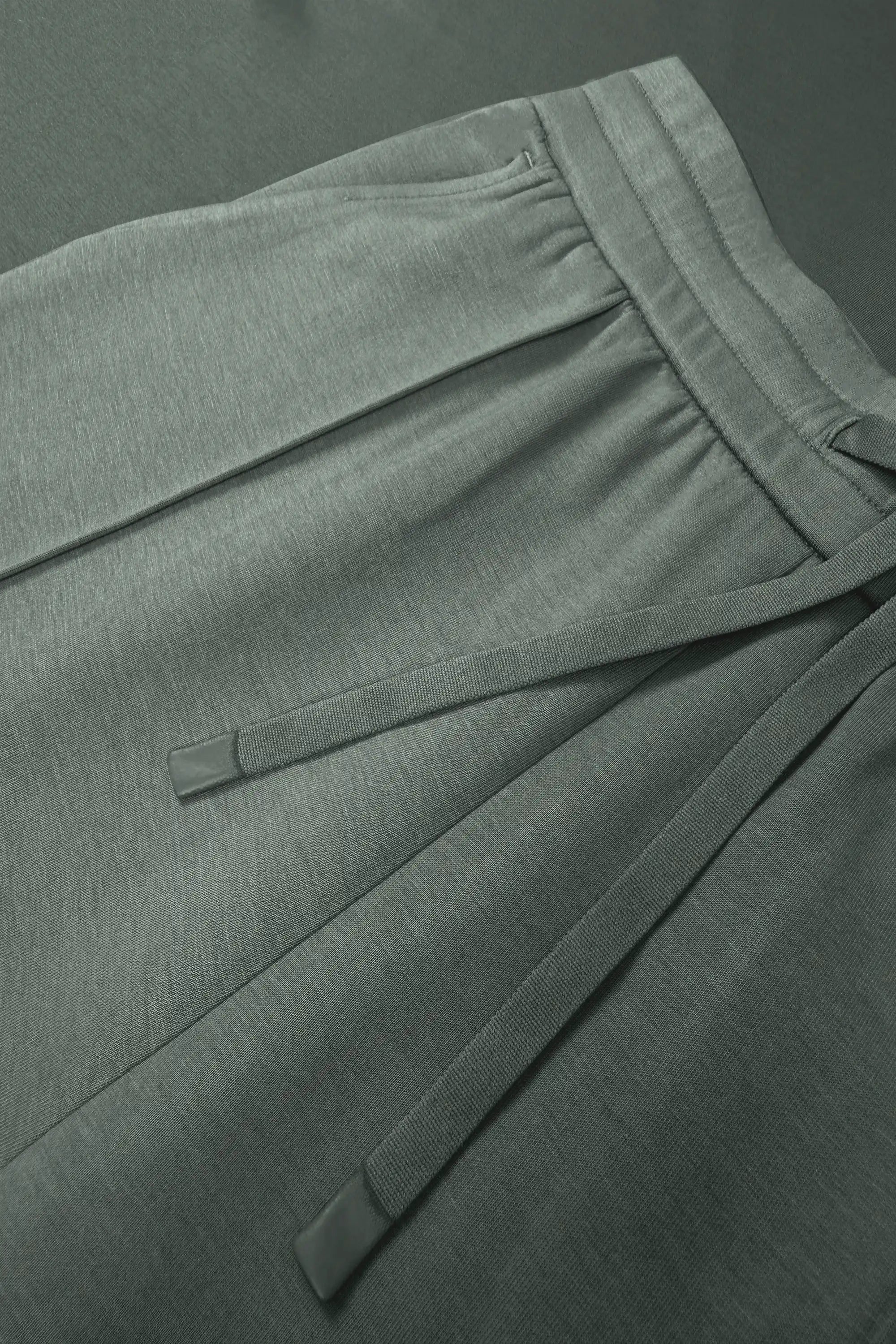 The Sculpt Drawstring Jogger Pants - Sage Grey